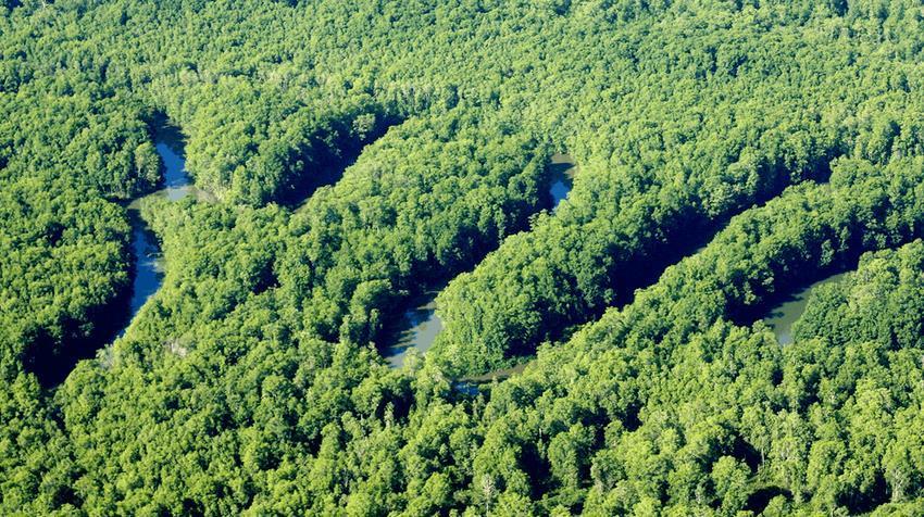 Hotel Sierpe River Экстерьер фото