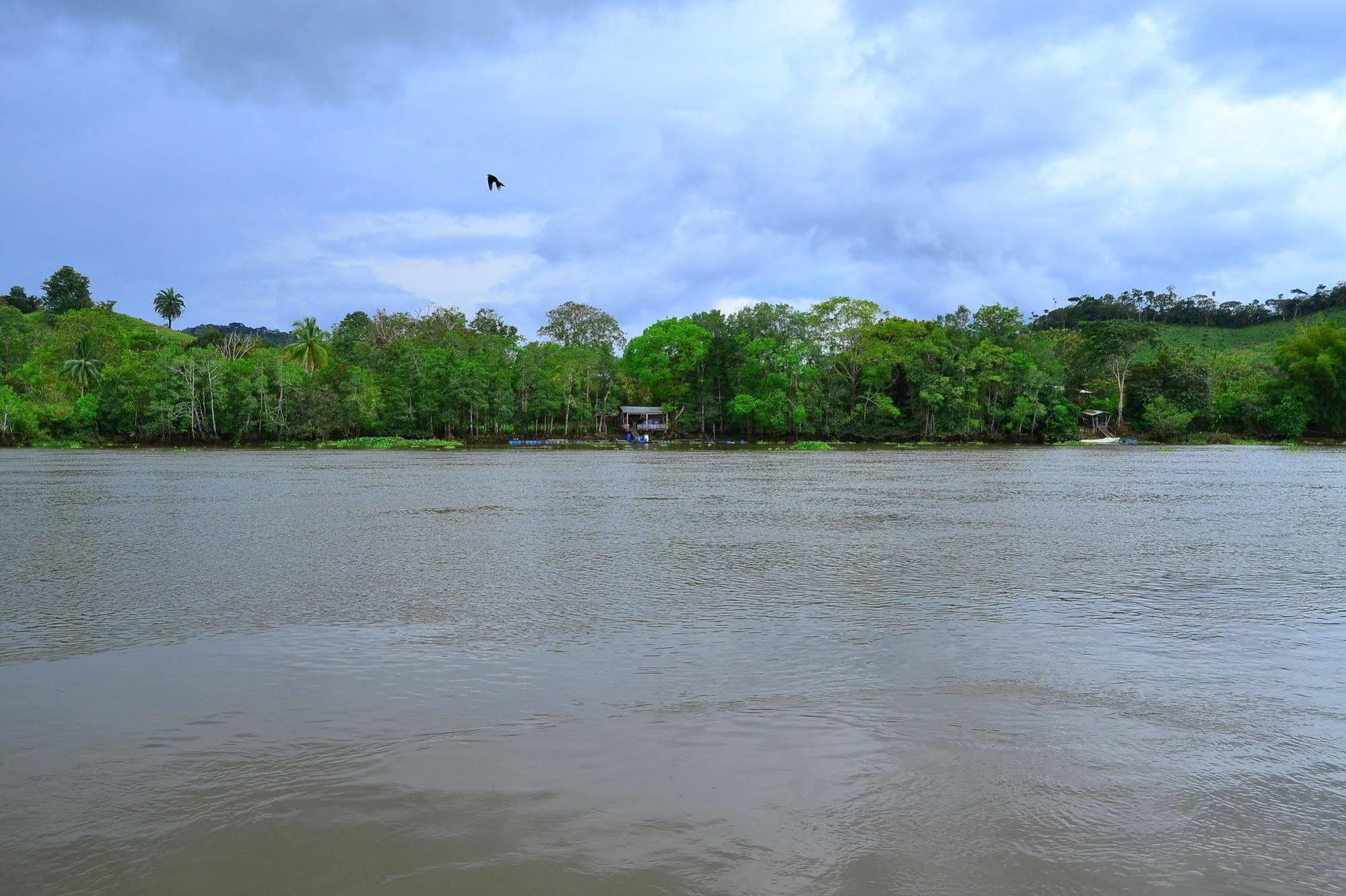 Hotel Sierpe River Экстерьер фото